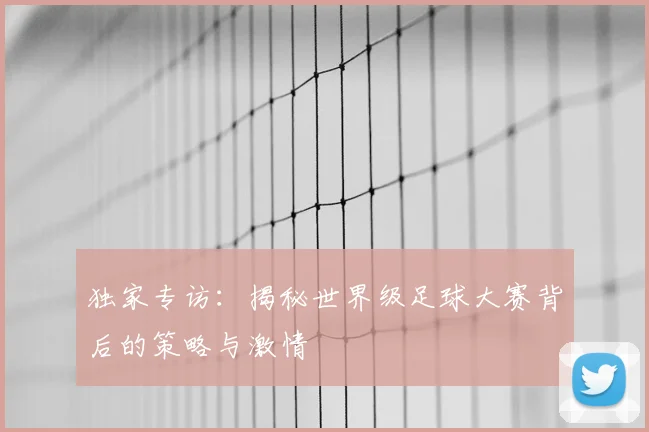 独家专访：揭秘世界级足球大赛背后的策略与激情